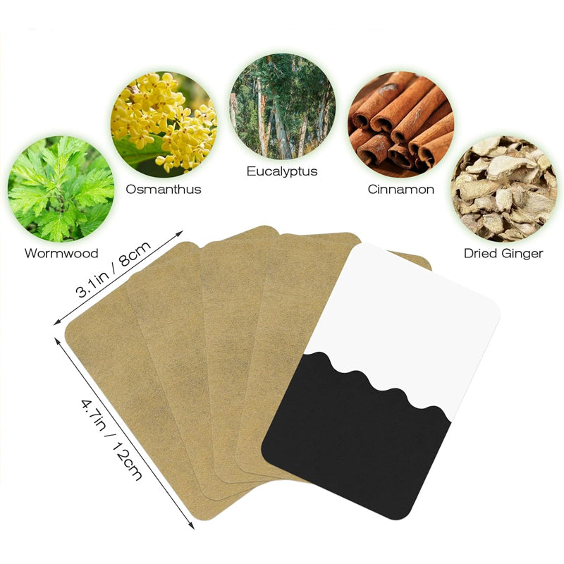 😵‍💫Ingwerpflaster gegen Schmerzen💪💪